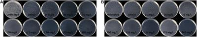 Preliminary Studies on the Antibacterial Mechanism of a New Plant-Derived Compound, 7-Methoxycoumarin, Against Ralstonia solanacearum